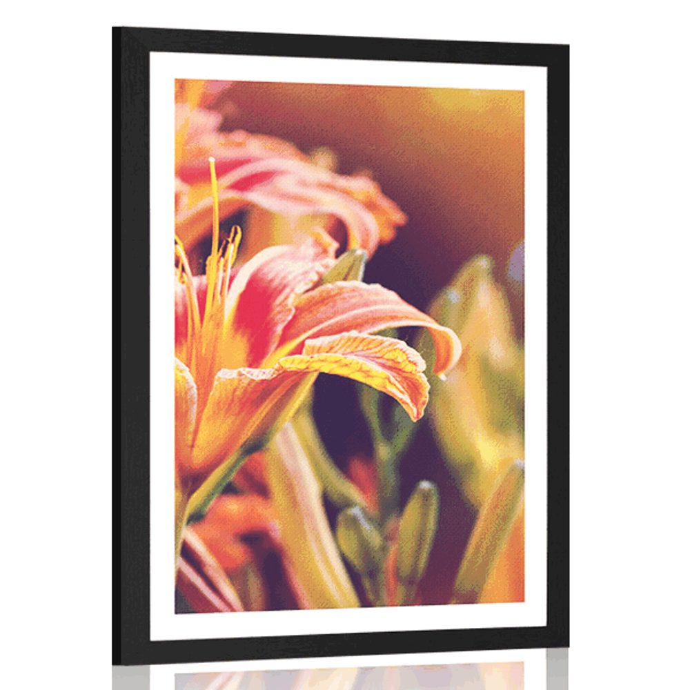 Plakát s paspartou krásně kvetoucí květiny v zahradě
