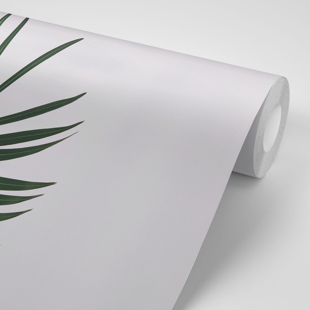 E-shop Fototapeta nádherný palmový list