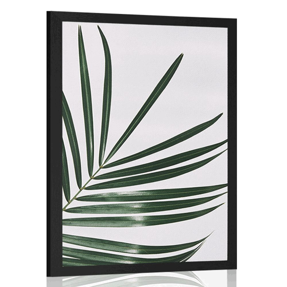 Plagát nádherný palmový list - 60x90 white