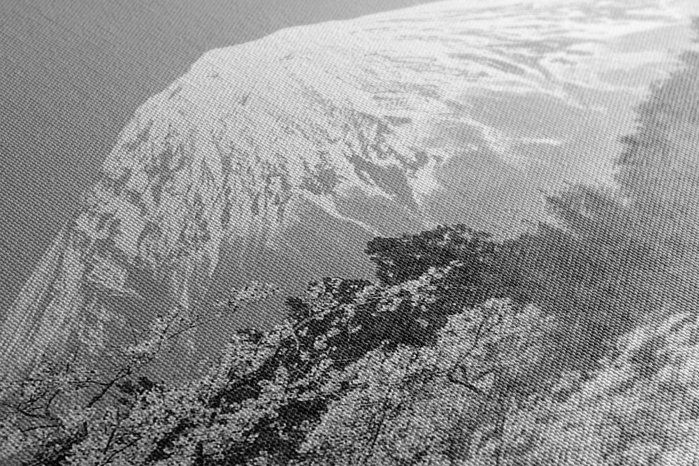 E-shop Obraz hora Fuji v čiernobielom prevedení