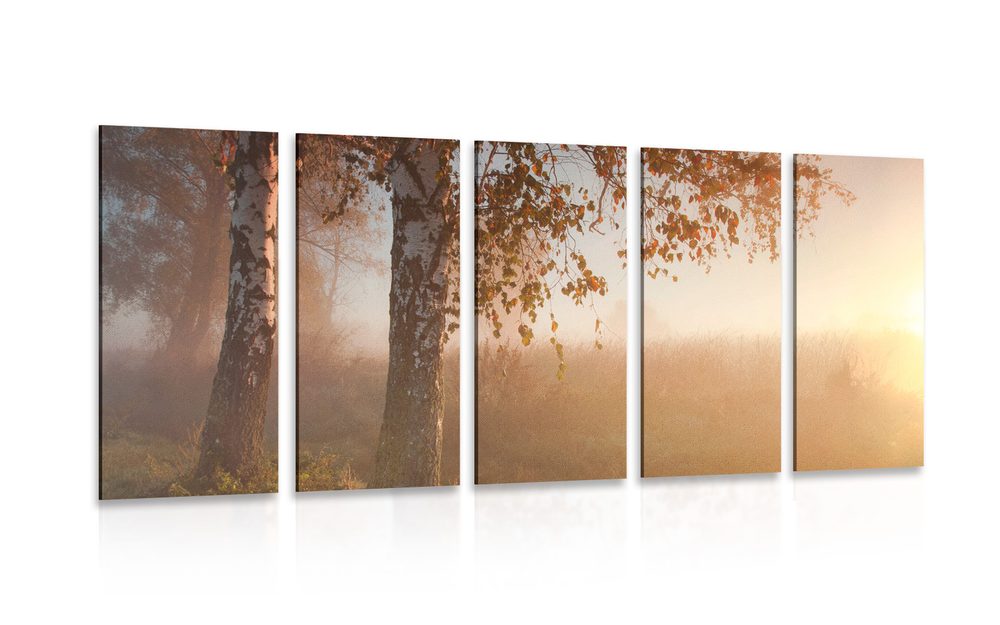 5-dílný obraz mlhavý podzimní les - 100x50