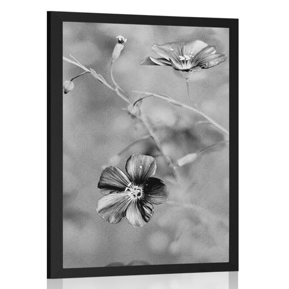 Plakát květiny v černobílém provedení