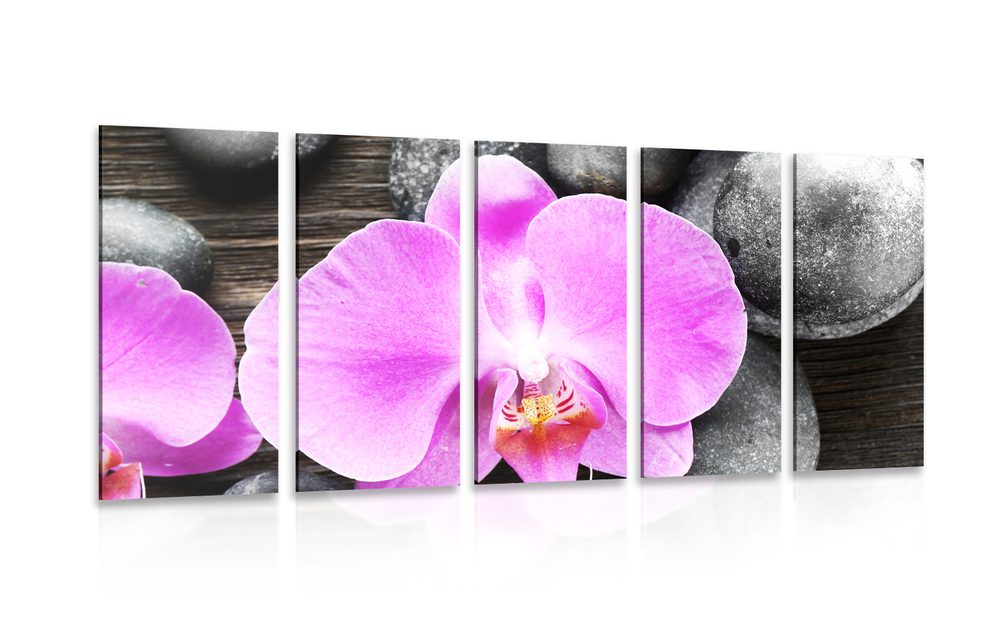 5-dílný obraz nádherná orchidej a kameny
