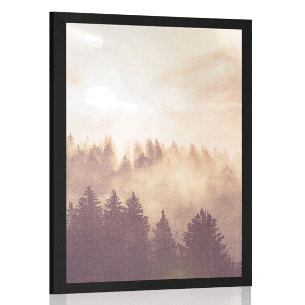 Plakát mlha nad lesem