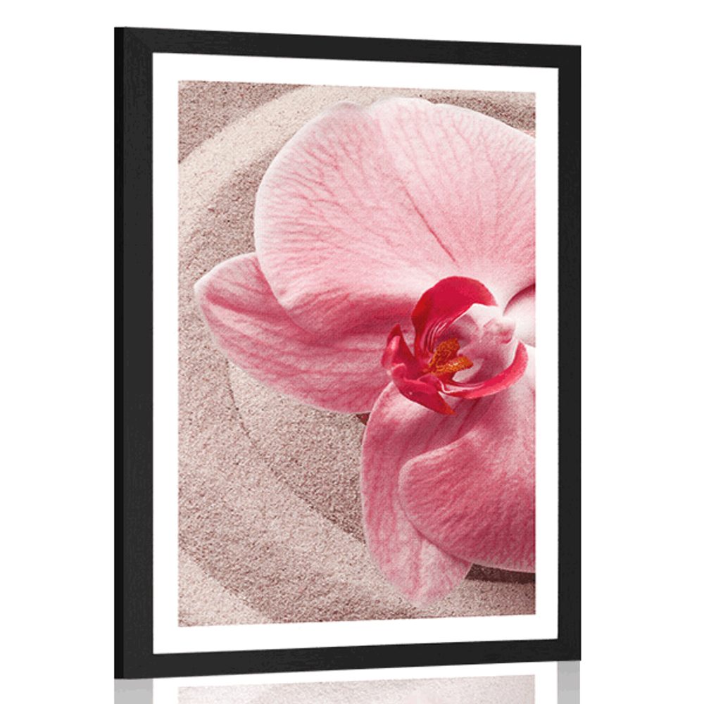 Plakát s paspartou mořský písek a růžová orchidej