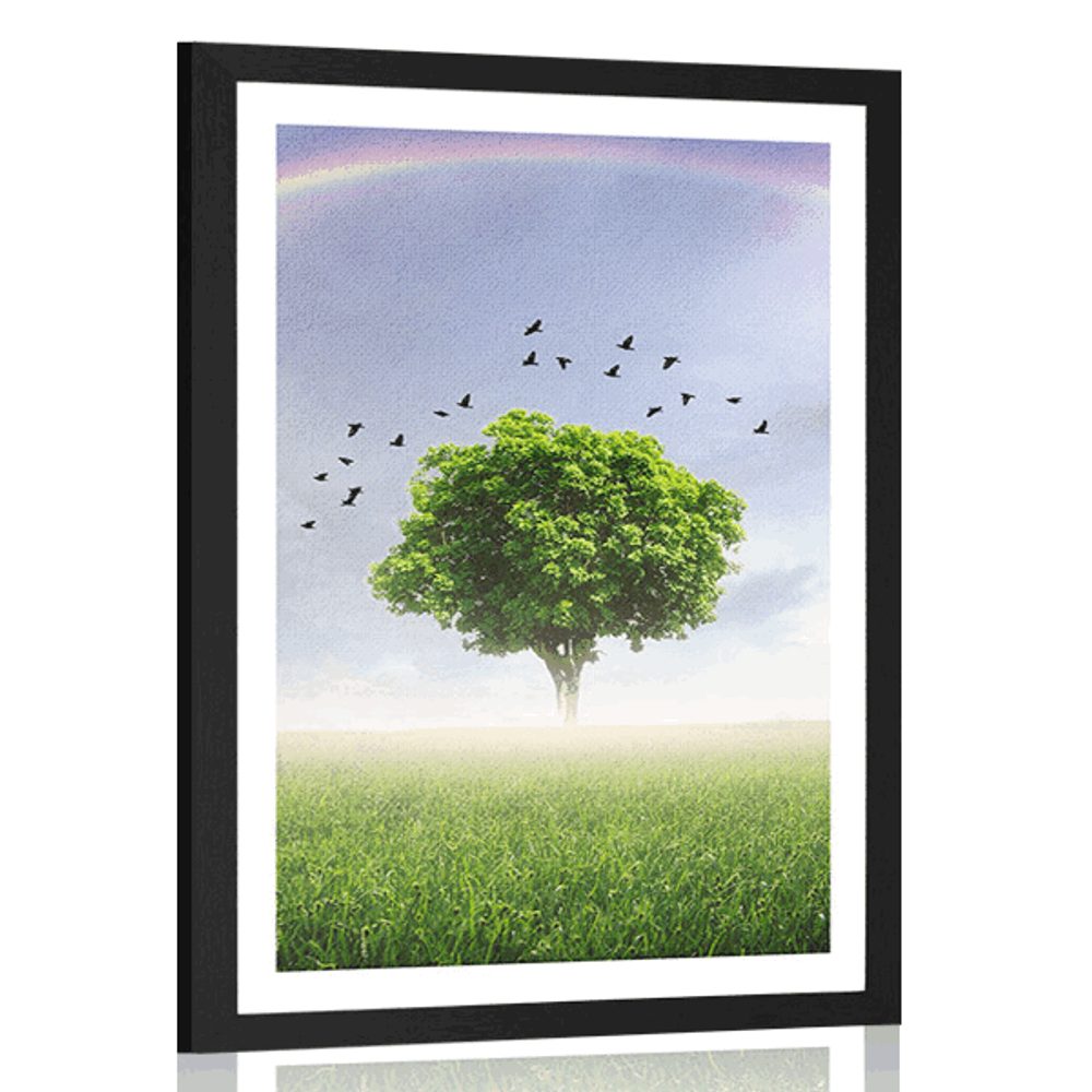 Plakát s paspartou osamělý strom na louce