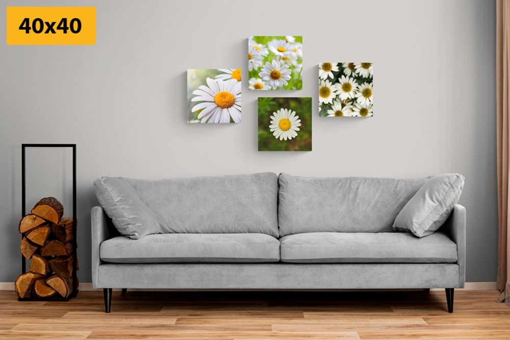 E-shop Set obrazov čarovné kvety