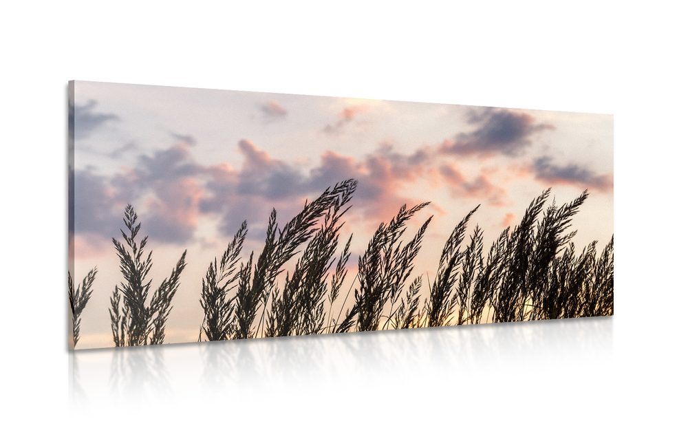 Obraz tráva při zapadajícím slunci - 120x60