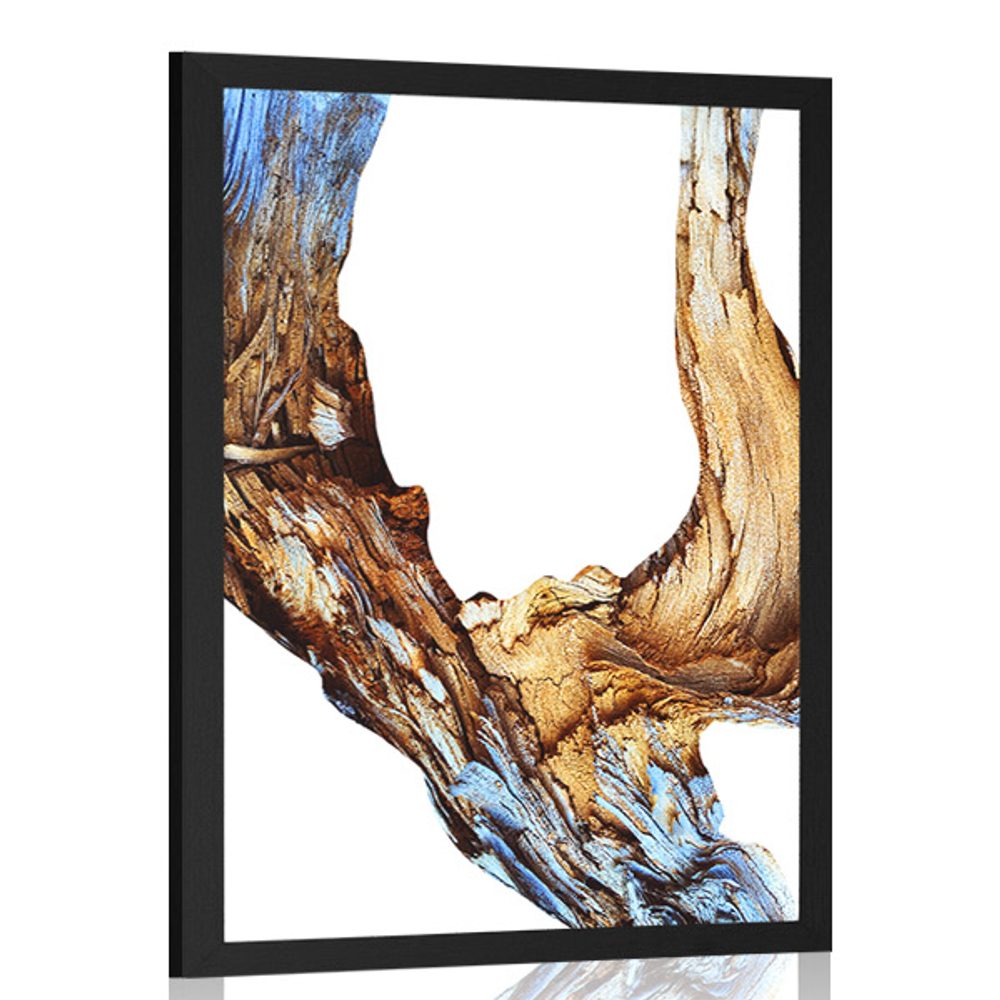 Plakát abstrakce kůry stromu