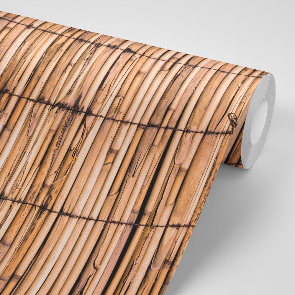 E-shop Samolepiaca fototapeta exotický bambus