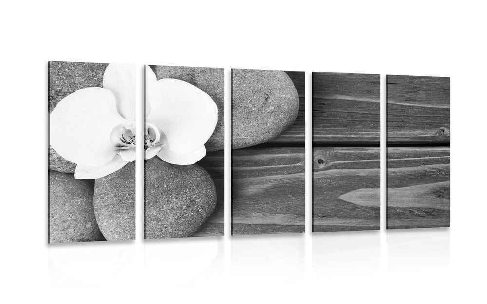 5-dílný obraz wellness kameny a orchidej na dřevěném pozadí v černobílém provedení