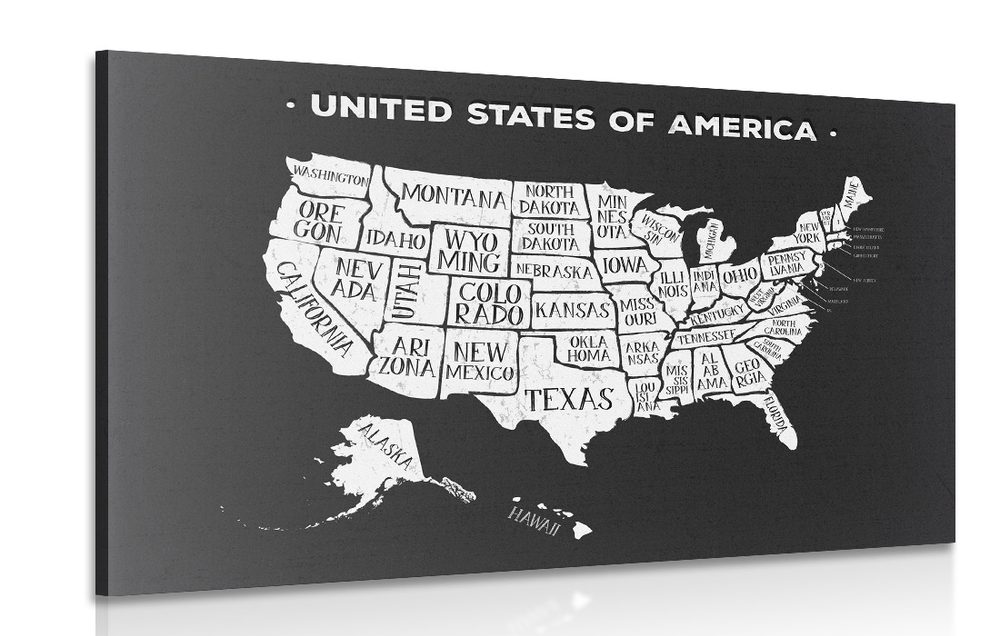 Obraz naučná mapa USA v černobílém provedení