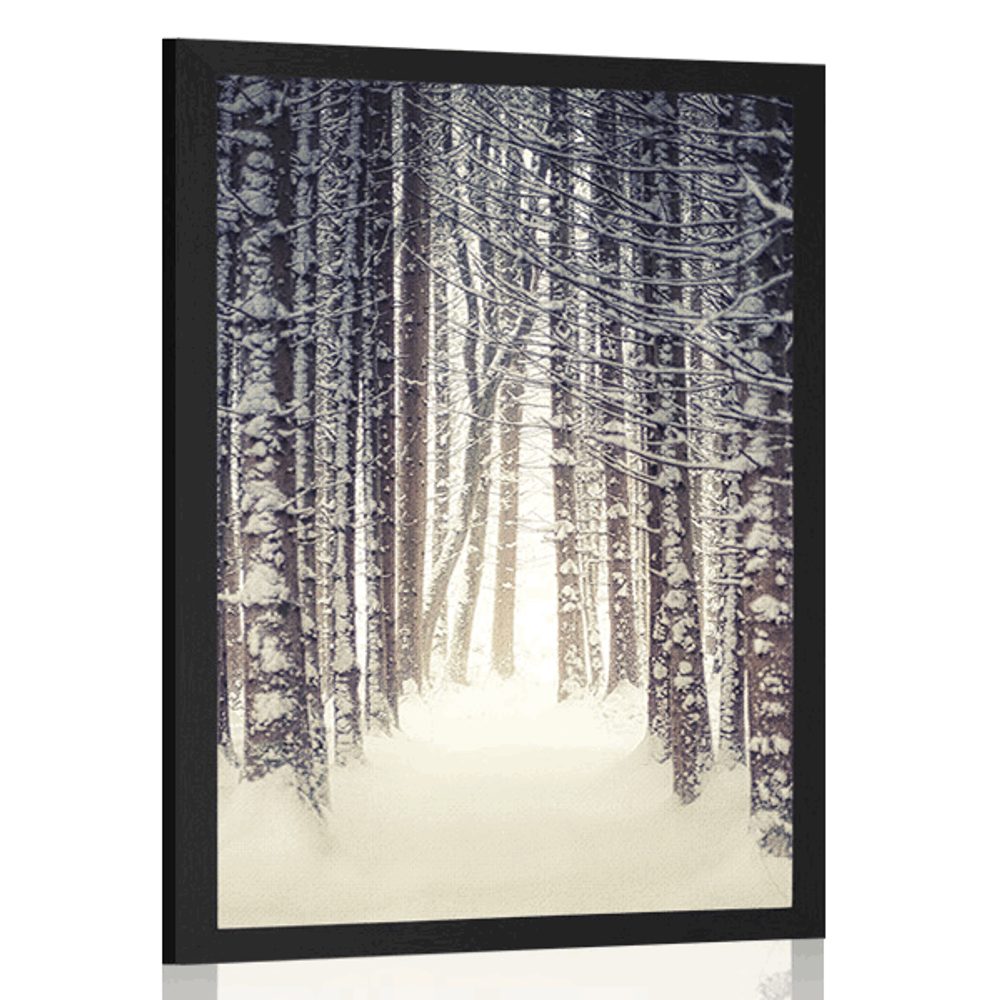 Levně Plakát les zahalený sněhem