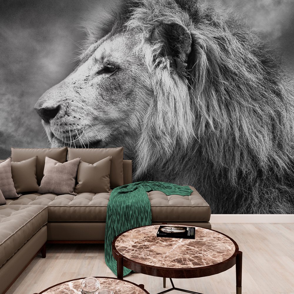 Tapeta africký lev v černobílém provedení - 225x150