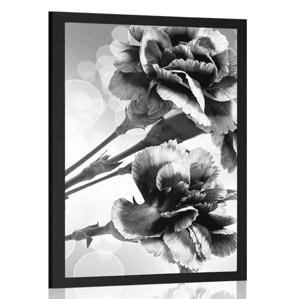 Plakát květ karafiátu v černobílém provedení