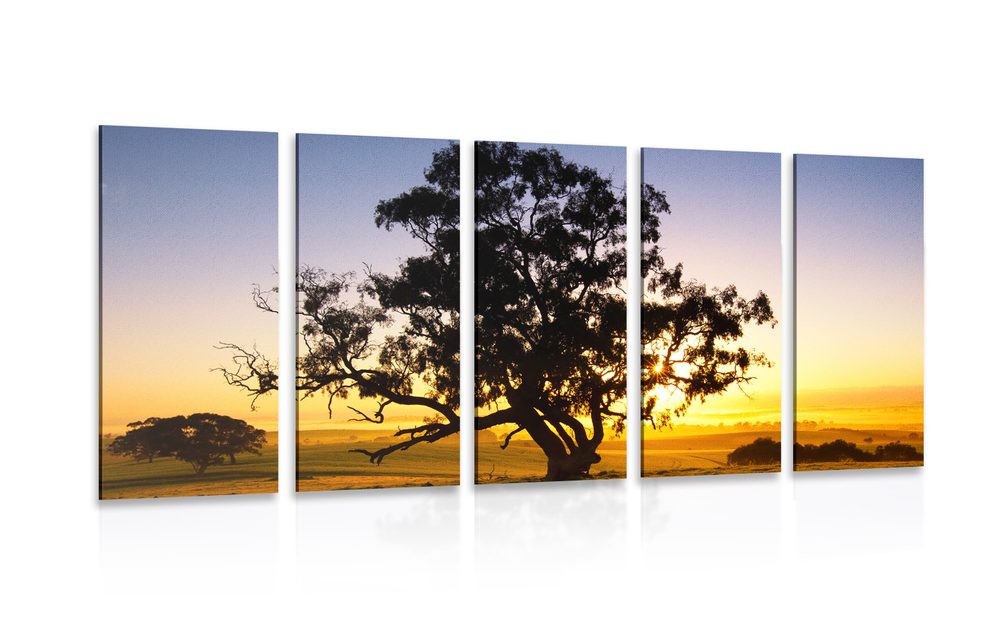 5-dielny obraz osamelý strom pri západe slnka