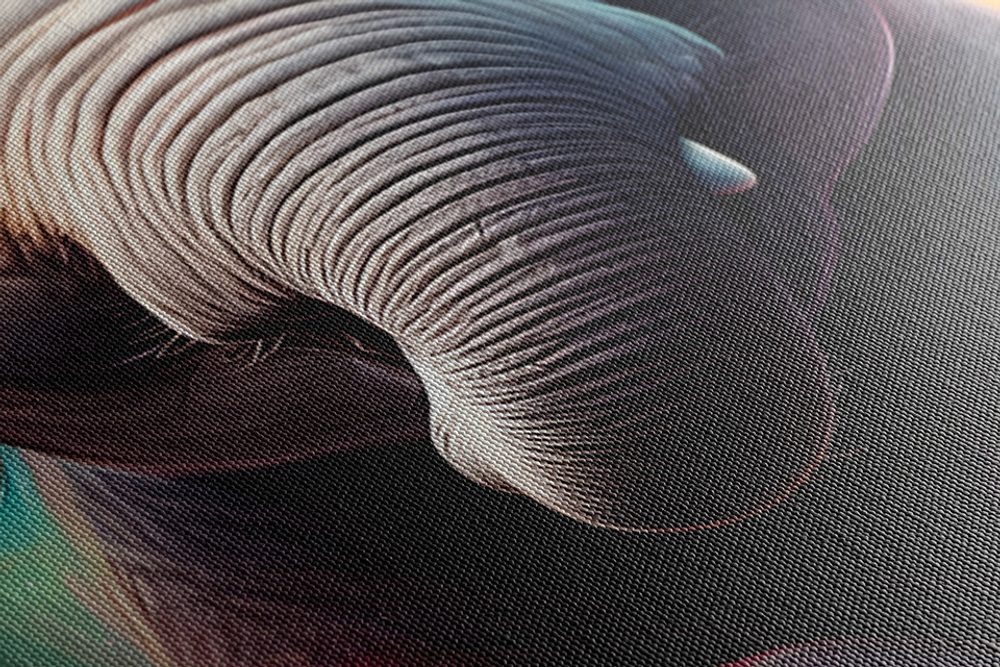 E-shop Obraz slon so slúchadlami