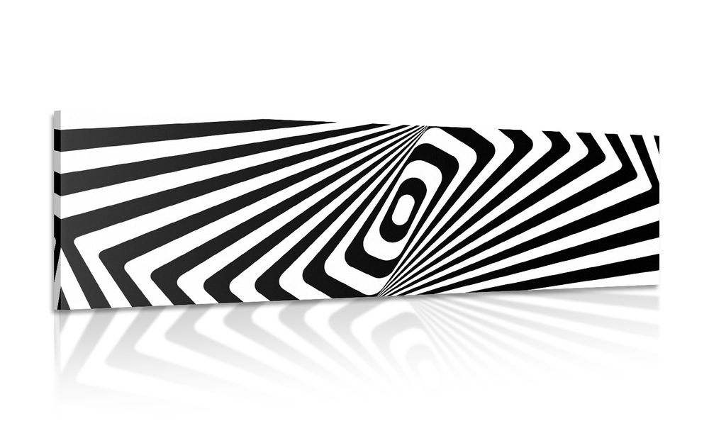 Levně Obraz černobílá iluze