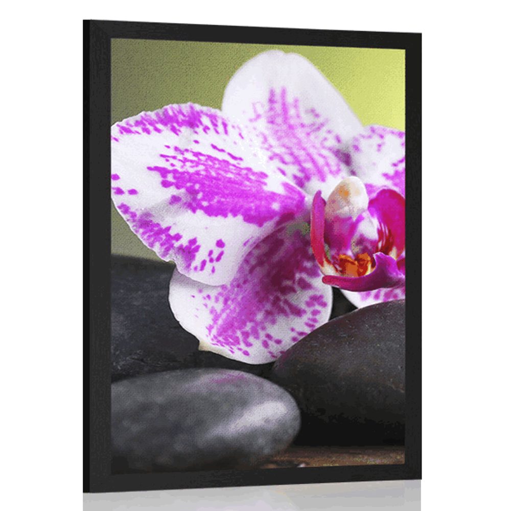 Plagát orchidea a čierne kamene