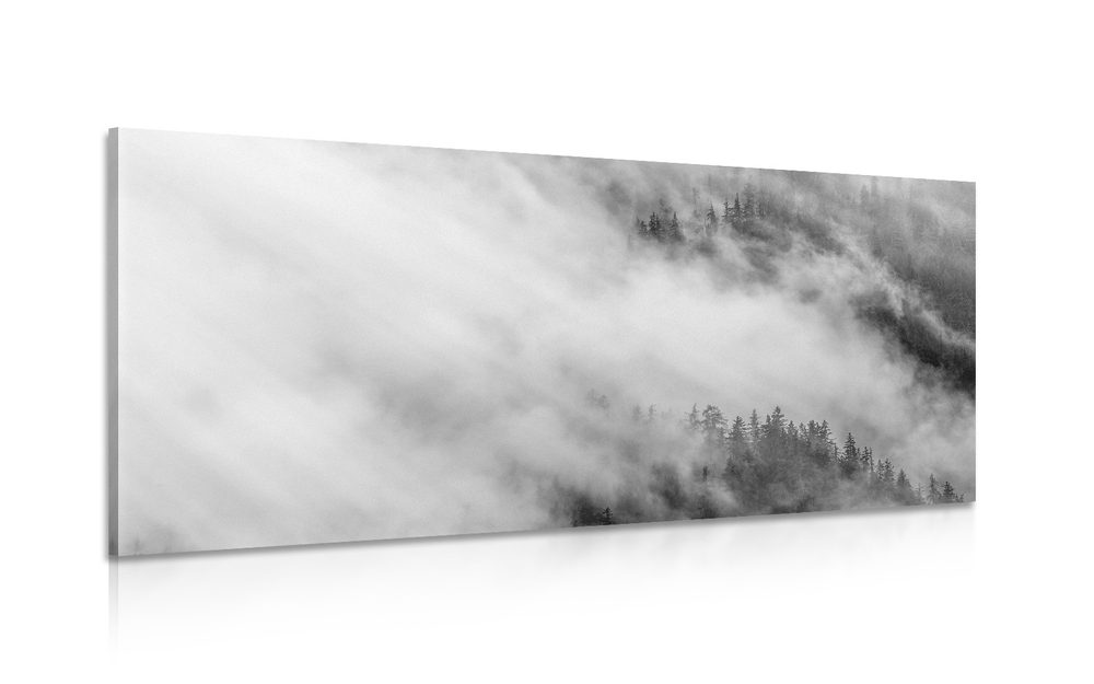 Obraz černobílý mlhavý les