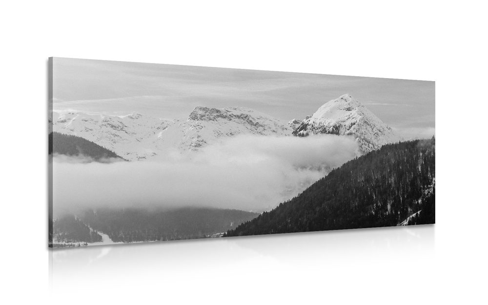 Obraz zimná krajina v čiernobielom prevedení - 100x50