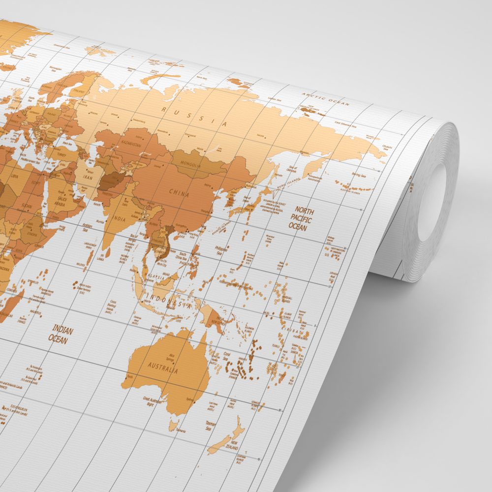 E-shop Tapeta béžová mapa sveta na svetlom pozadí