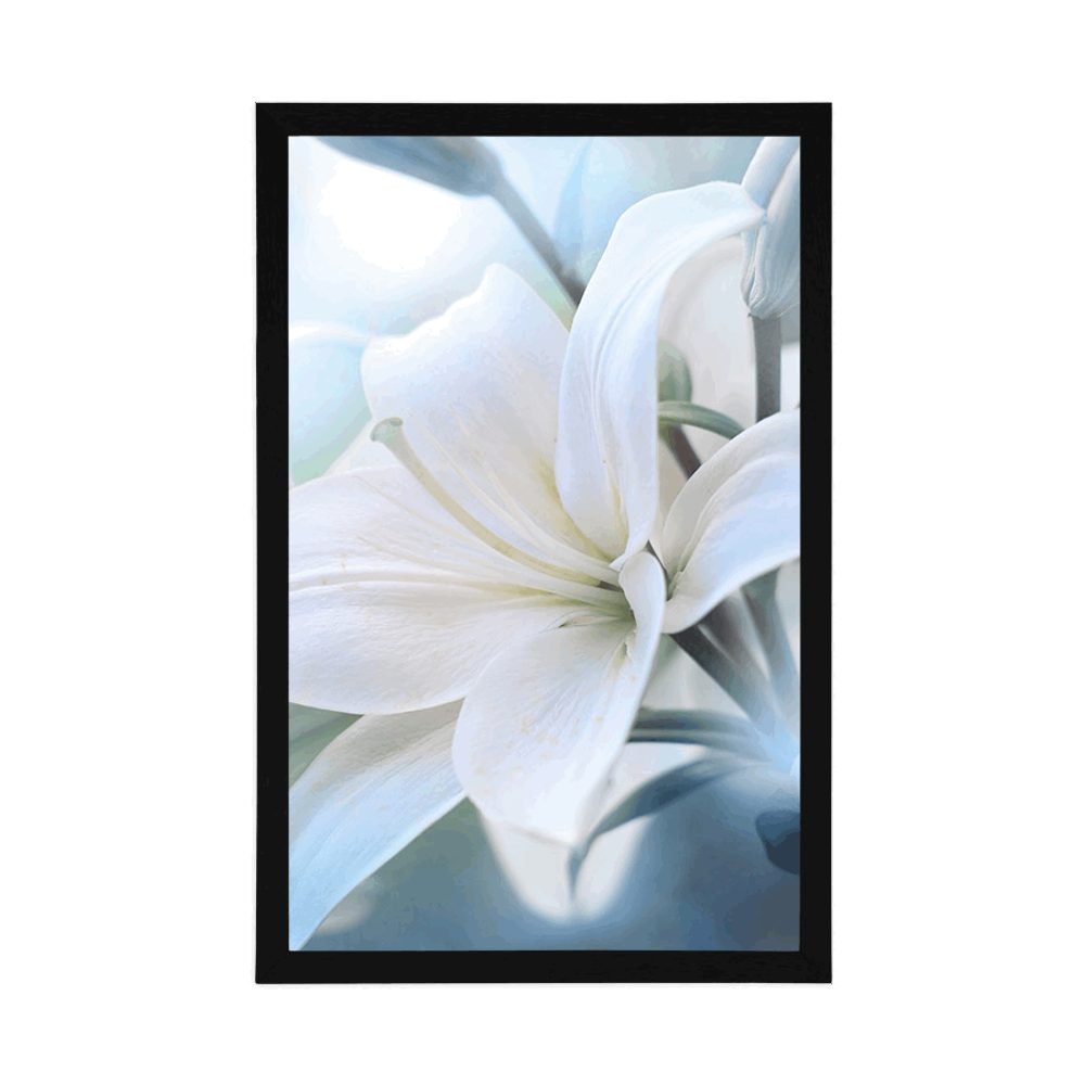 E-shop Plagát biely kvet ľalie na abstraktnom pozadí
