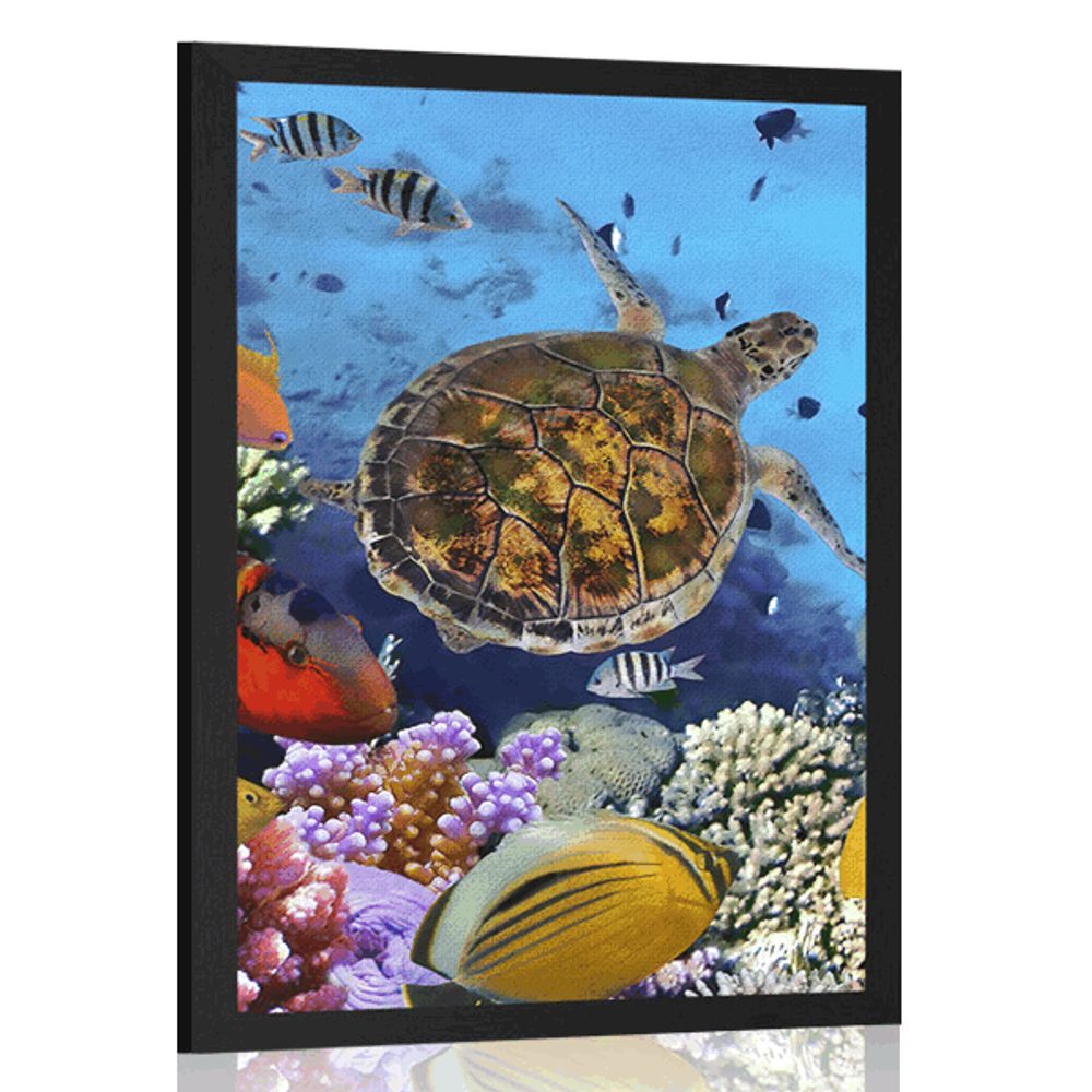 Plakát podmořský svět - 20x30 silver
