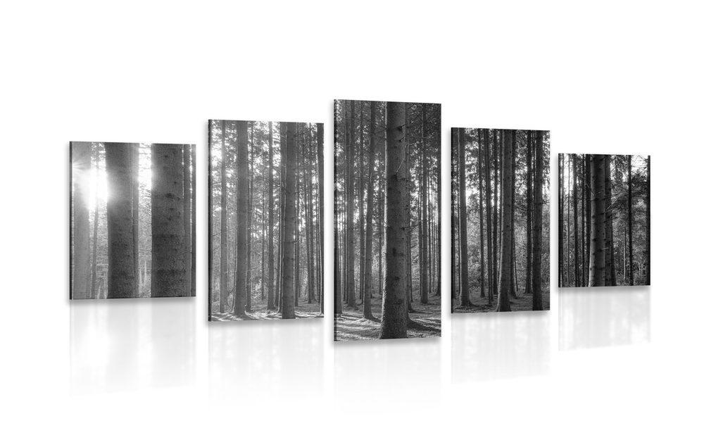 5-dielny obraz ráno v lese v čiernobielom prevedení
