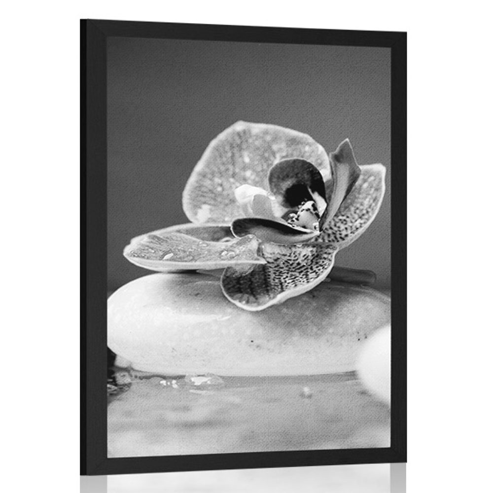 Plakát Zen kameny a orchidej v černobílém provedení