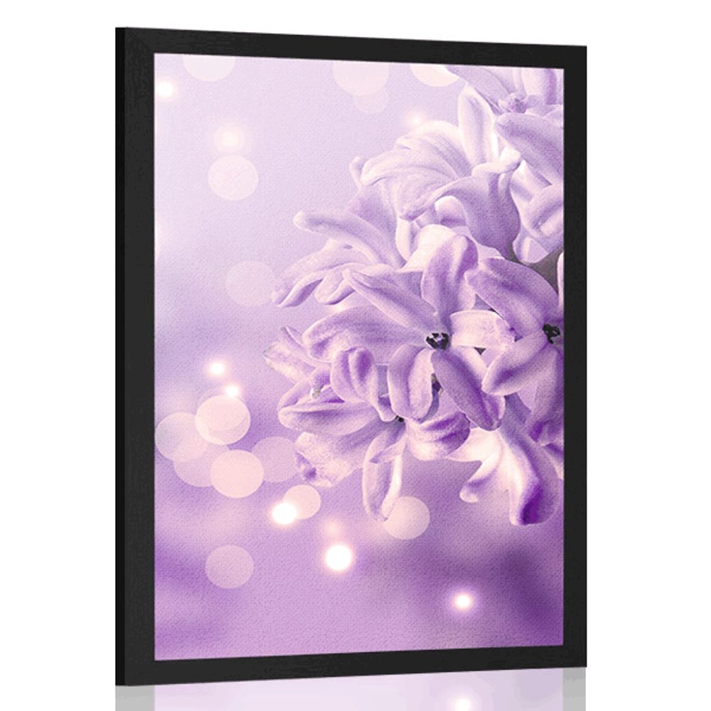 Plagát fialový kvet orgovánu