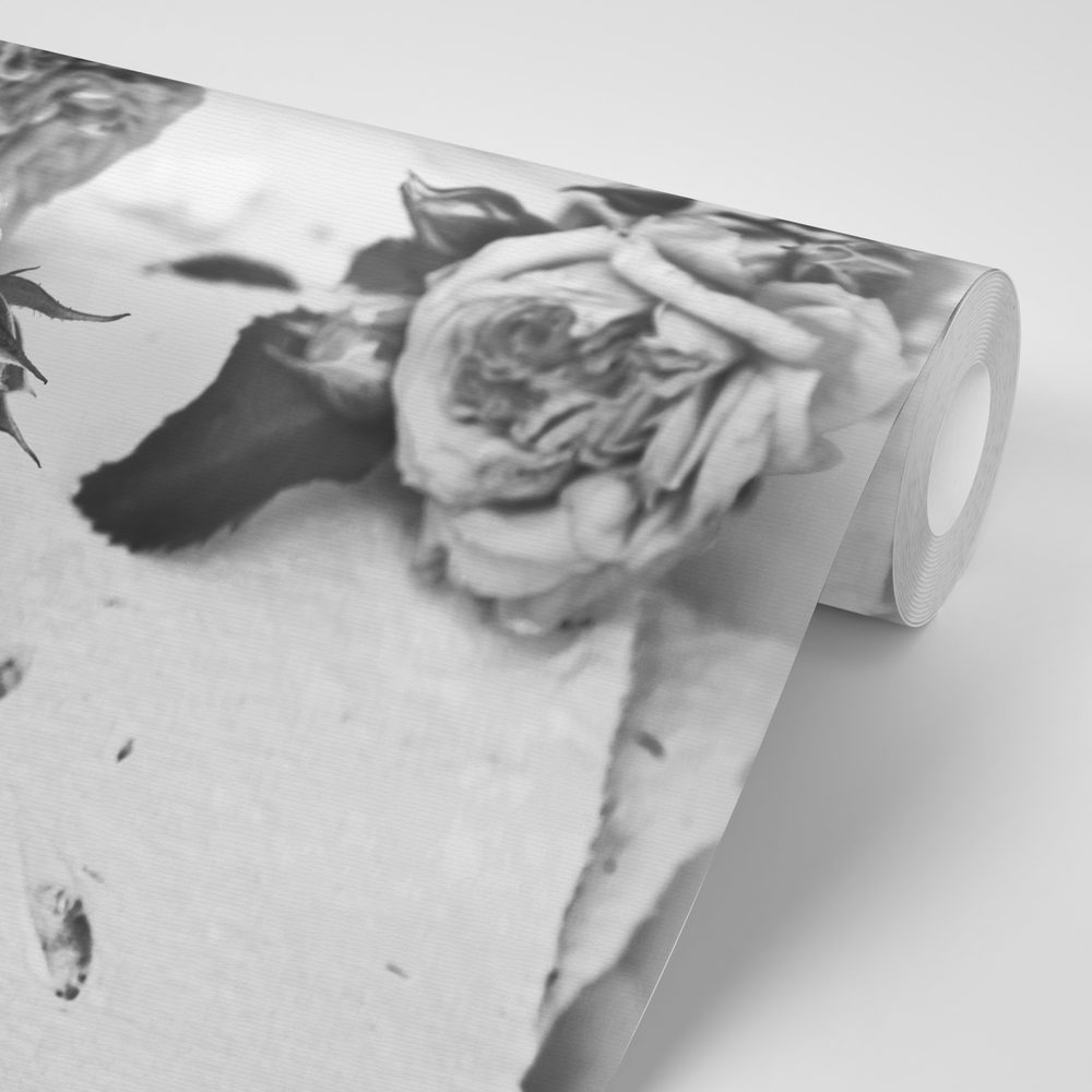 E-shop Samolepiaca fototapeta čiernobiele ruže v rozkvete