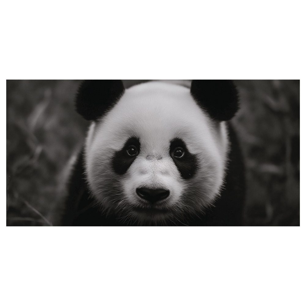 Obraz čiernobiela panda s úsmevom