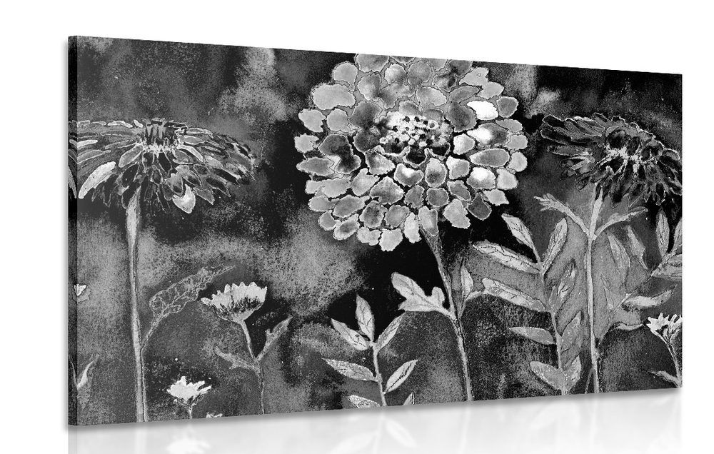 Obraz nádherné květy v černobílém provedení