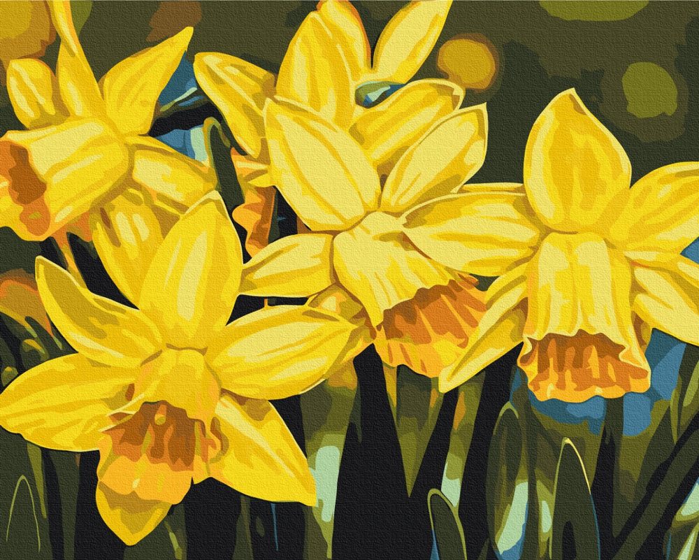E-shop Maľovanie podľa čísiel kvety narcisov