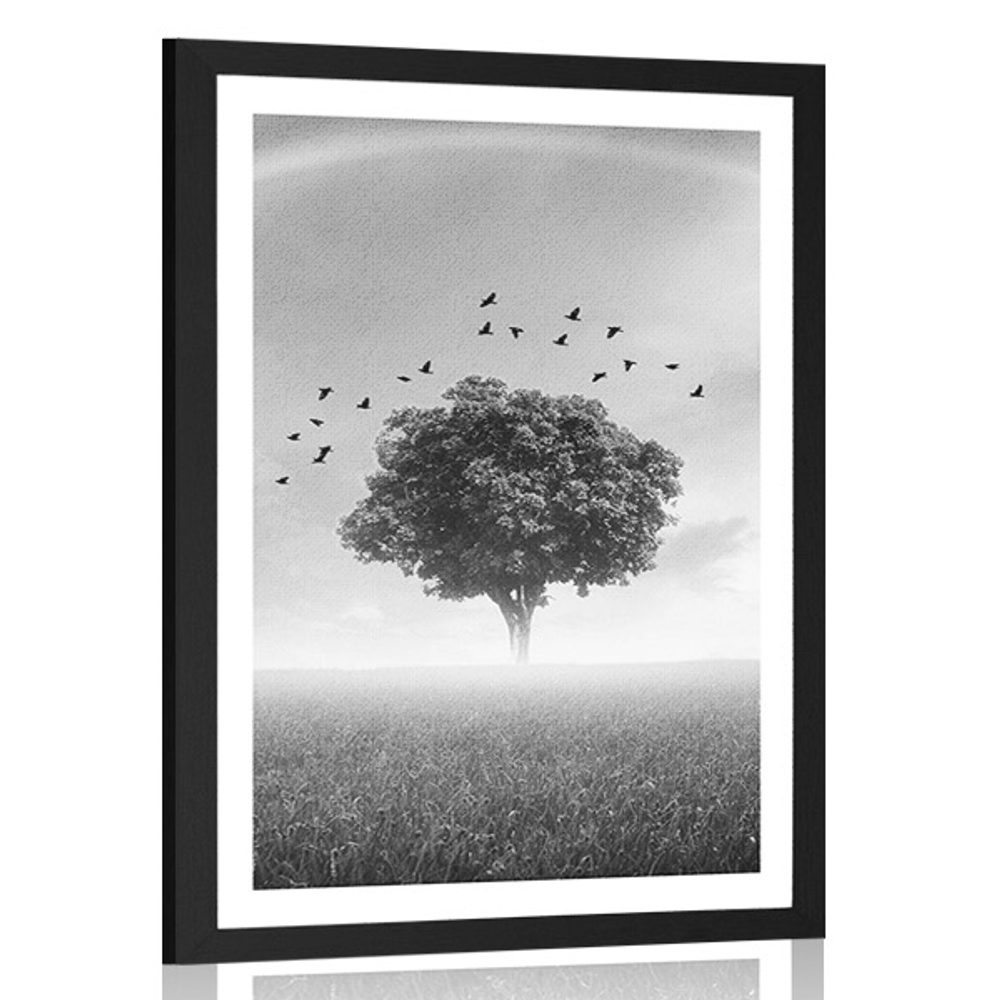 Plagát s paspartou osamelý strom na lúke v čiernobielom prevedení