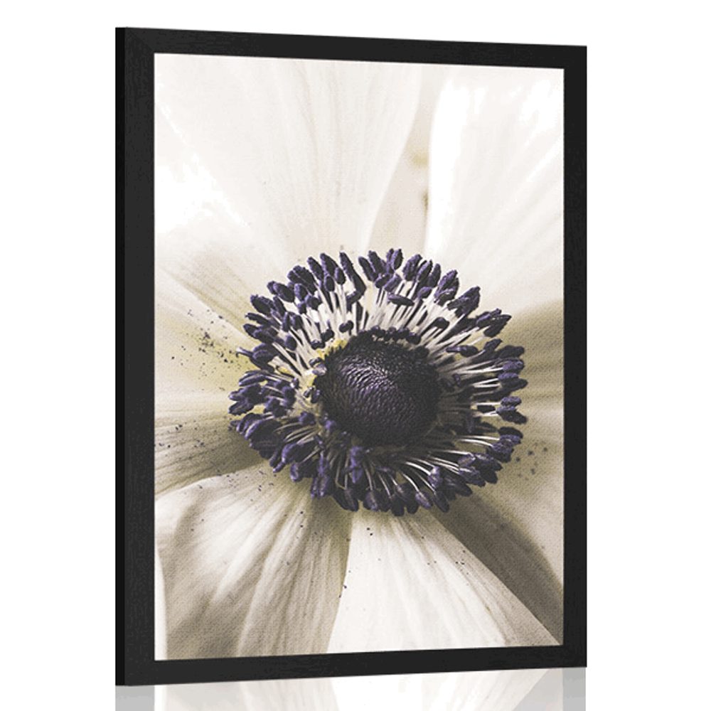 Plakát rozkvetlý květ