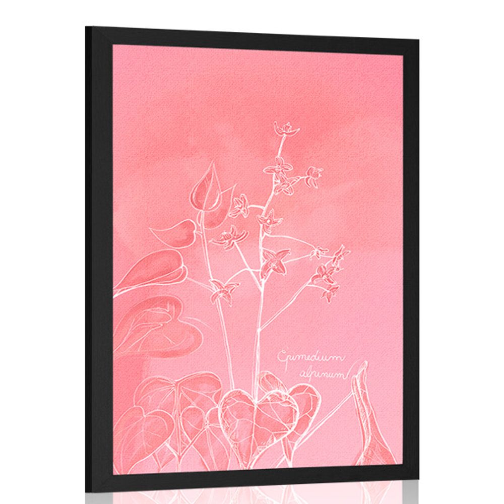 Plakát úchvatná rostlina Epimedium alpinum