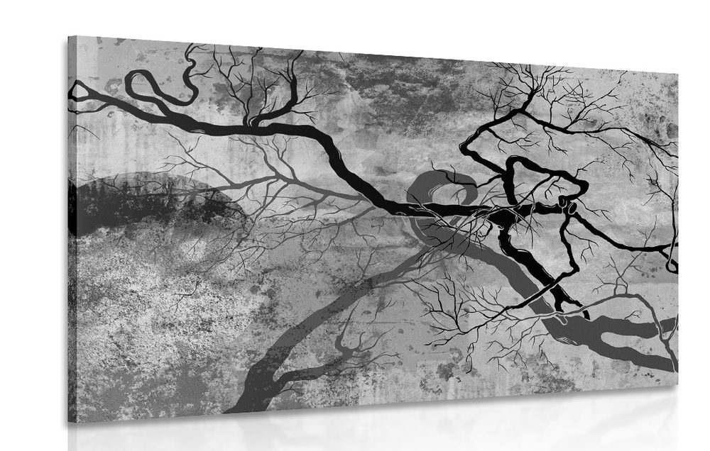 Obraz surrealistické stromy v čiernobielom prevedení