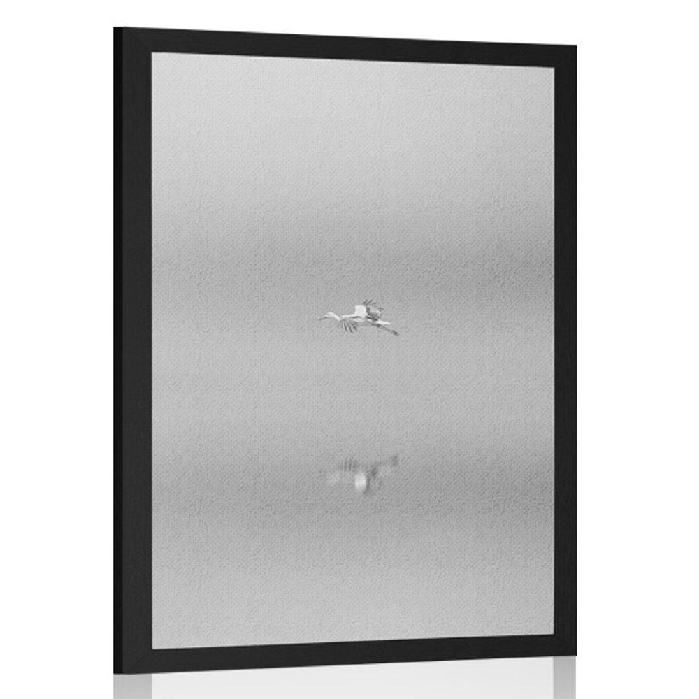 Plakát pták v mlze v černobílém provedení