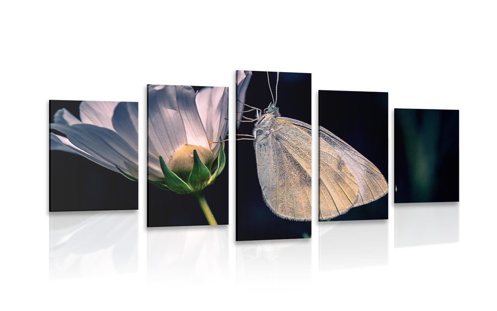 5-dielny obraz motýľ na kvete