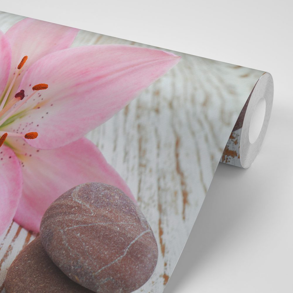 E-shop Fototapeta ružová ľalia a Zen kamene