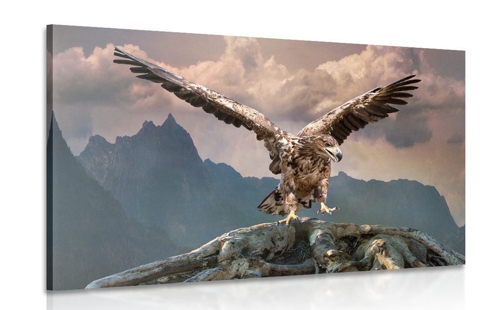 Obraz orel s roztaženými křídly nad horami
