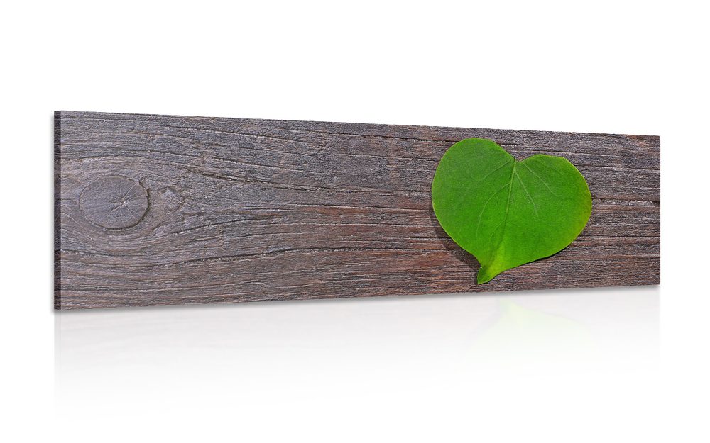Obraz list v tvare srdca na drevenom podklade