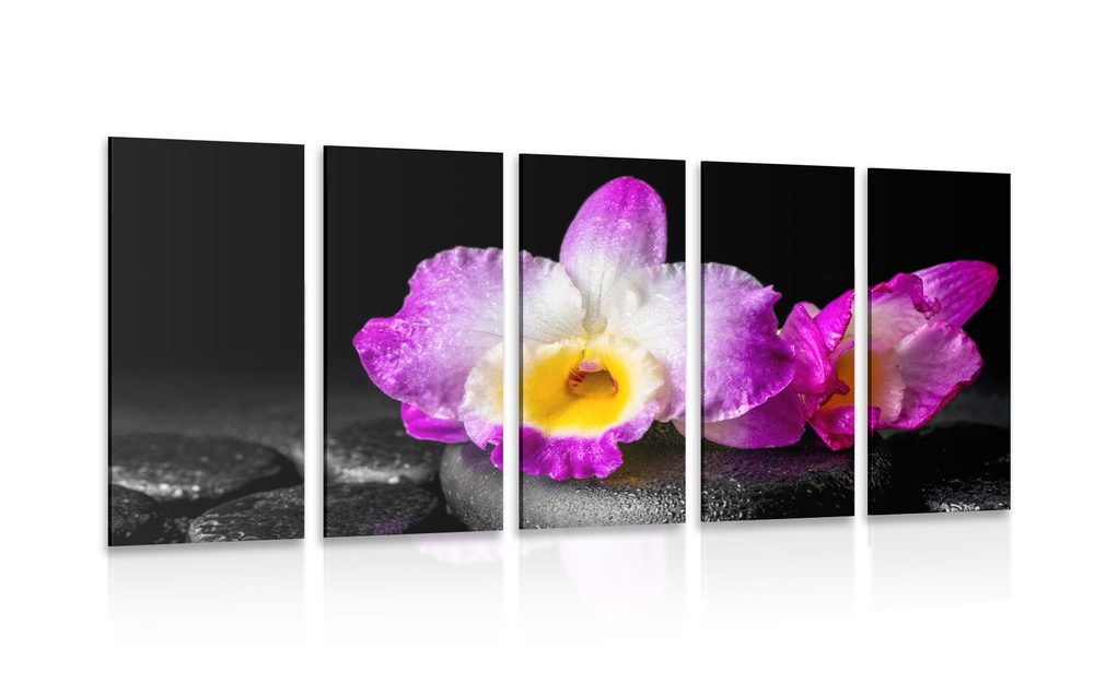 5-dielny obraz fialová orchidea na Zen kameňoch