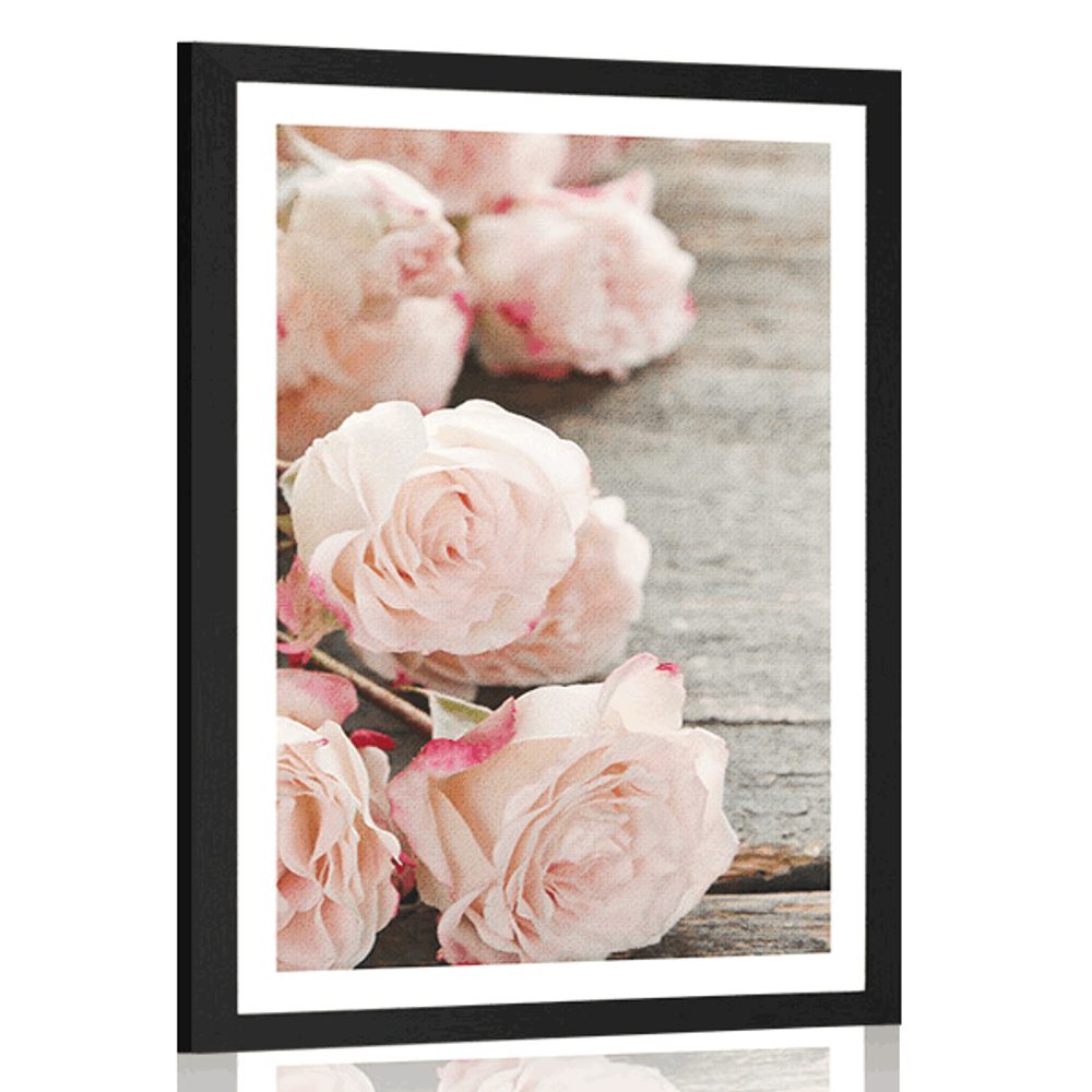 Plakát s paspartou romantické růže
