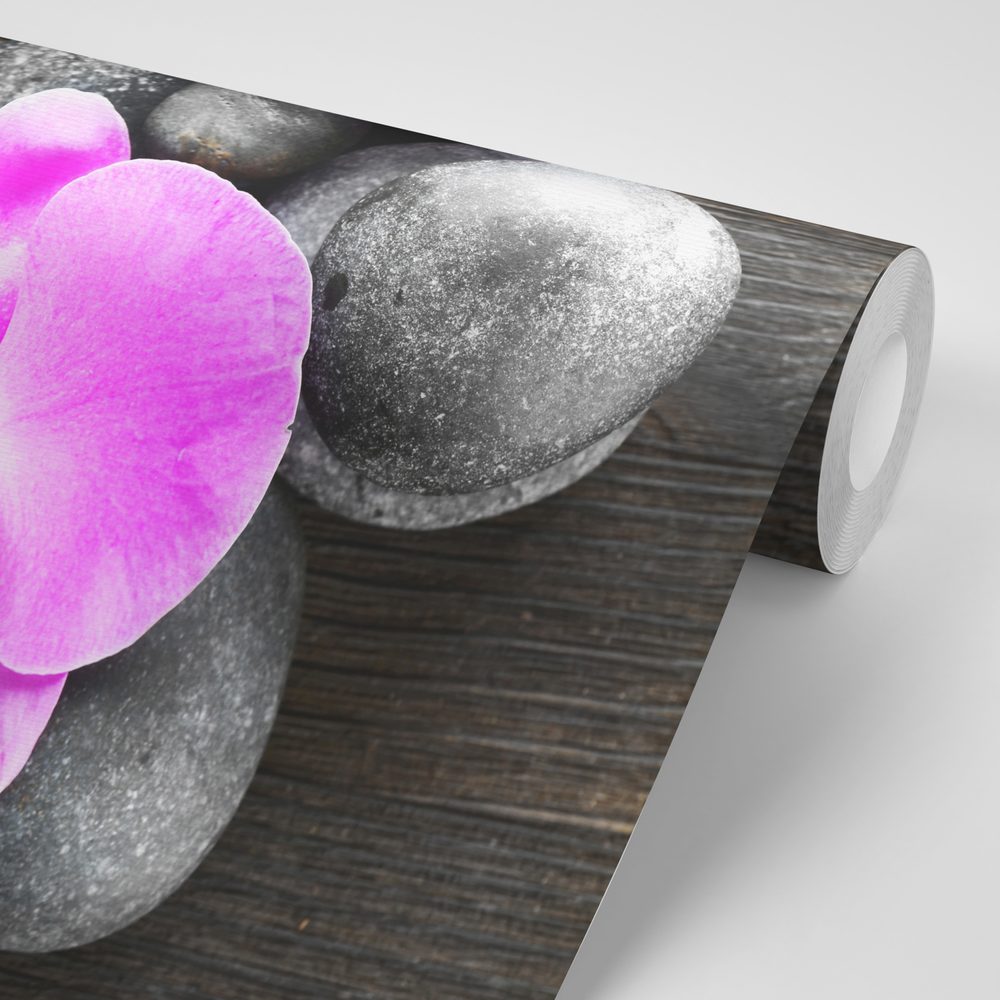 E-shop Fototapeta nádherná orchidea a kamene