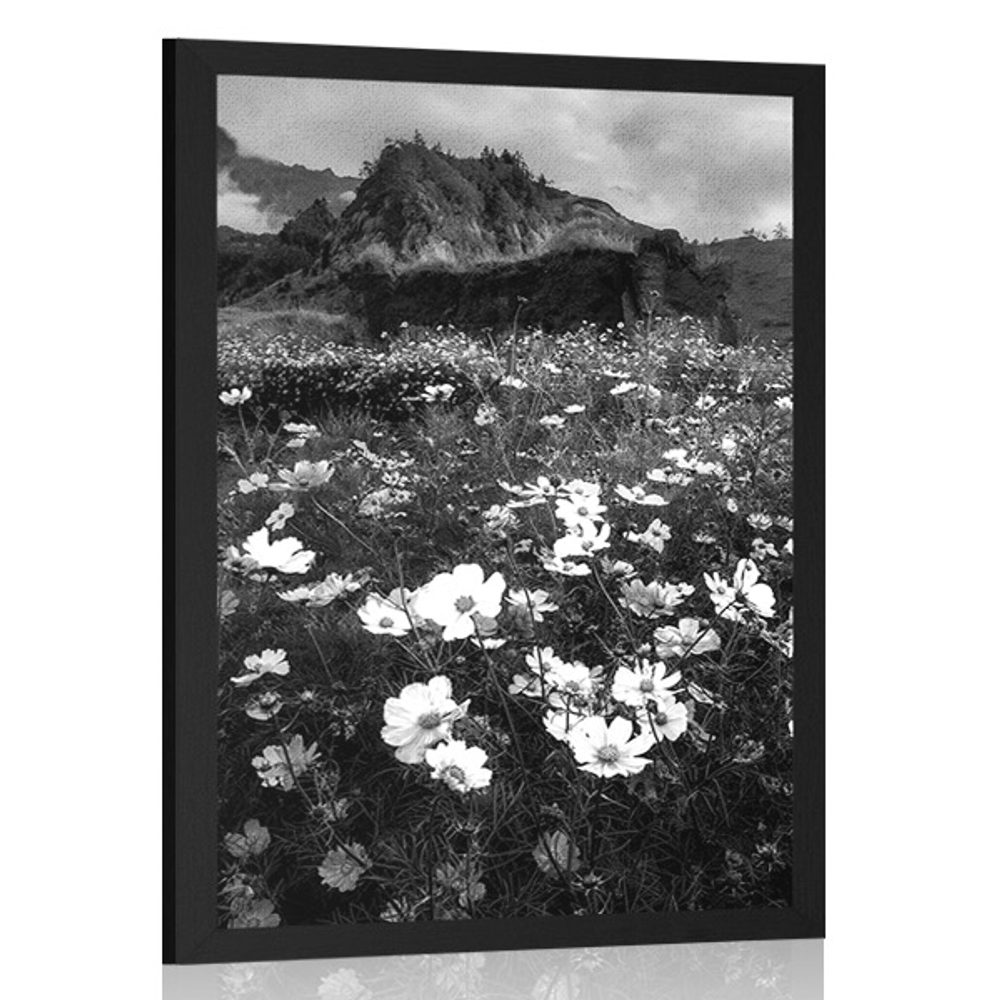 Plakát louka kvetoucích květin v černobílém provedení