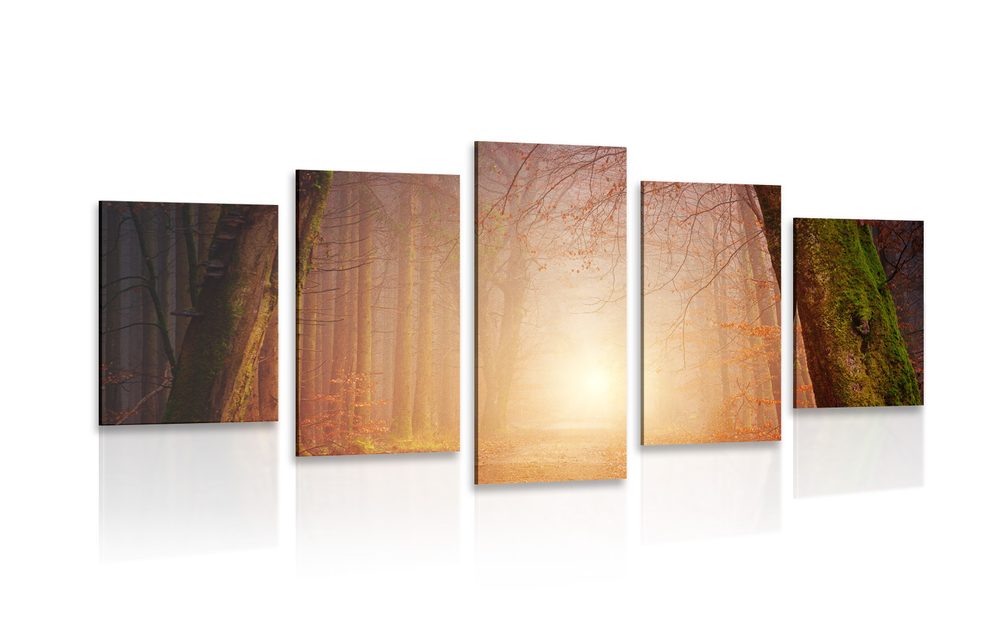 5-dielny obraz les v rozprávkových farbách