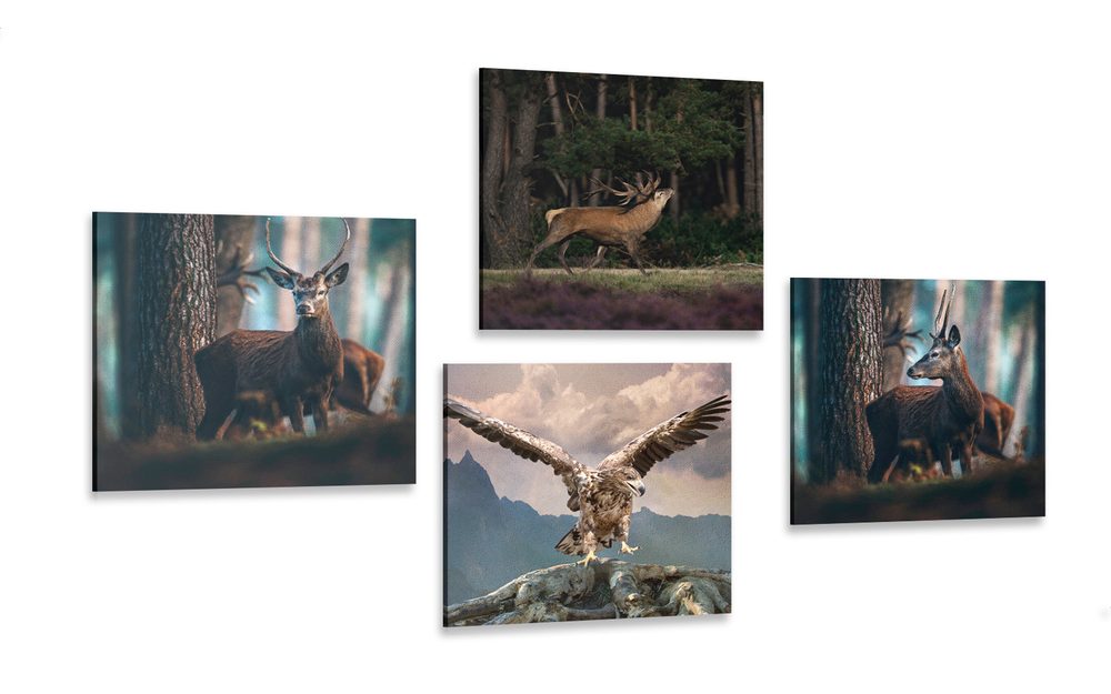 Set obrazů krása lesních zvířat
